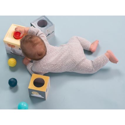 Taf Toys - Інтерактивний ігровий набір Північний полюс