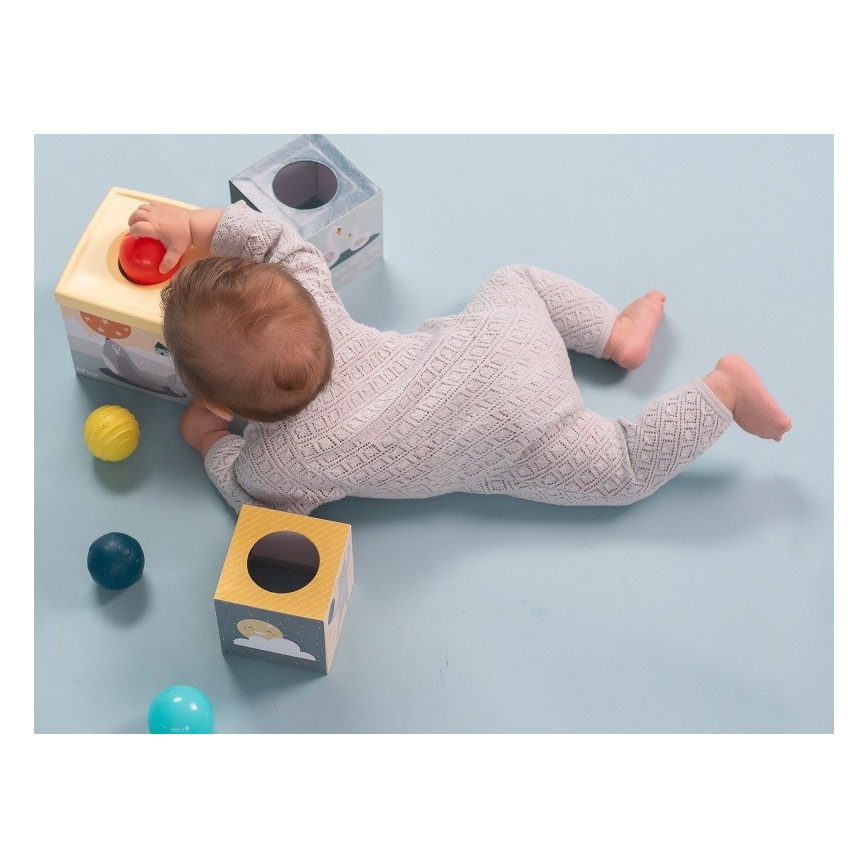 Taf Toys - Інтерактивний ігровий набір Північний полюс