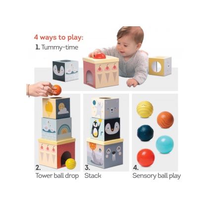 Taf Toys - Интерактивный игровой набор Северный полюс