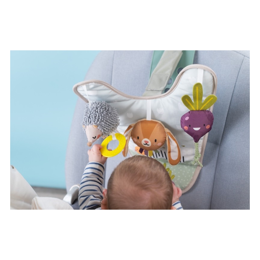 Taf Toys - Підвісна іграшка-приставка для автомобіля Садочок