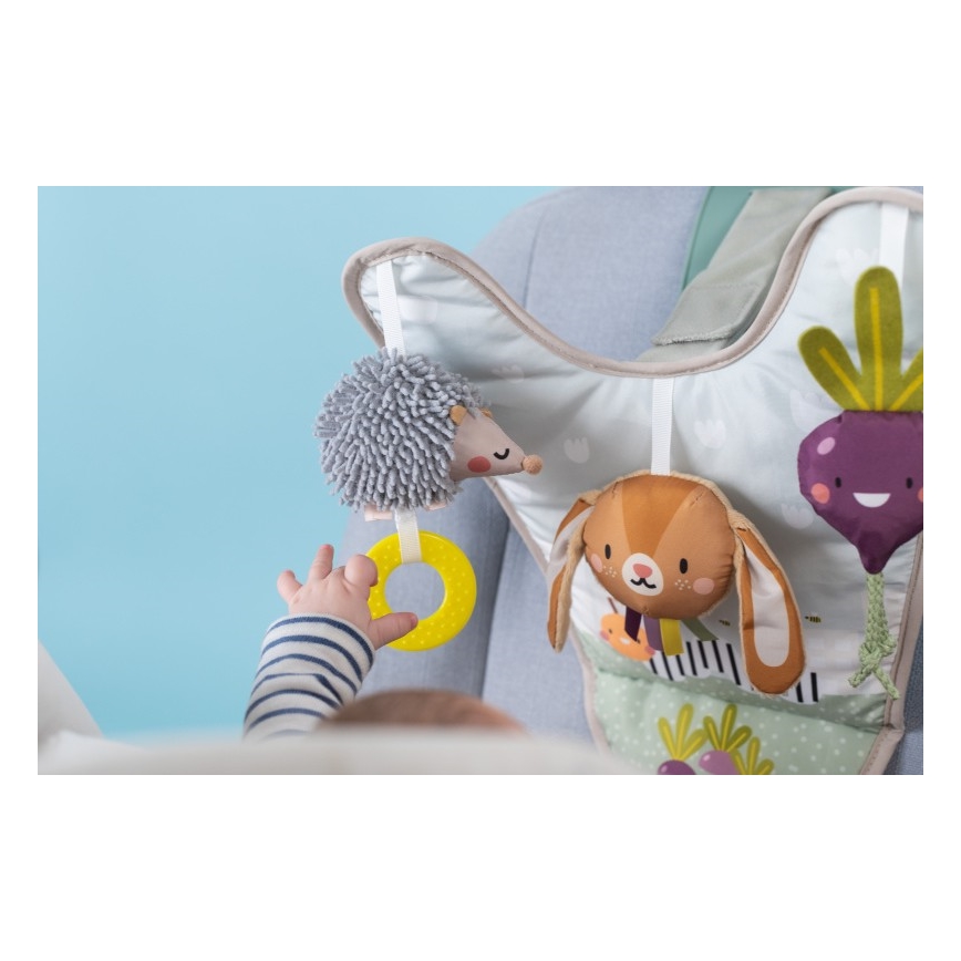 Taf Toys - Підвісна іграшка-приставка для автомобіля Садочок