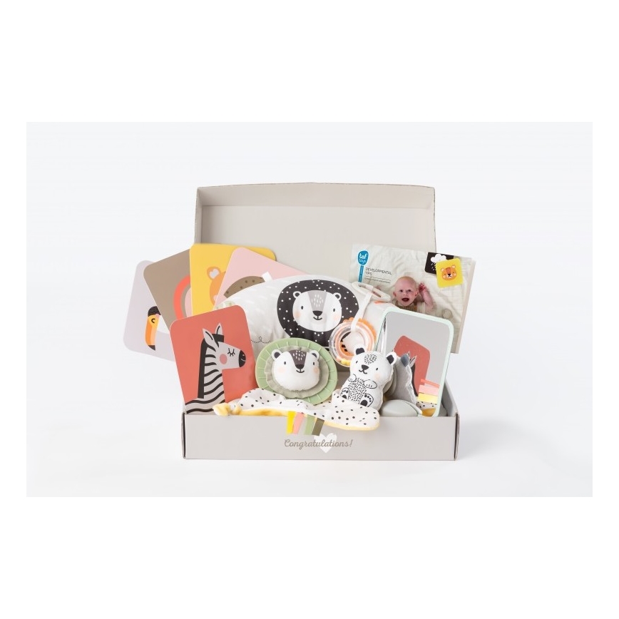 Taf Toys - Подарункова коробка HELLO BABY