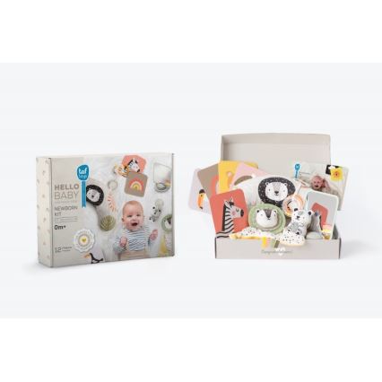 Taf Toys - Подарункова коробка HELLO BABY
