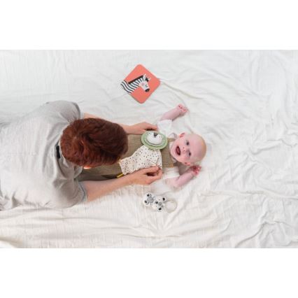 Taf Toys - Подарункова коробка HELLO BABY