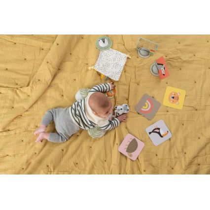 Taf Toys - Подарункова коробка HELLO BABY