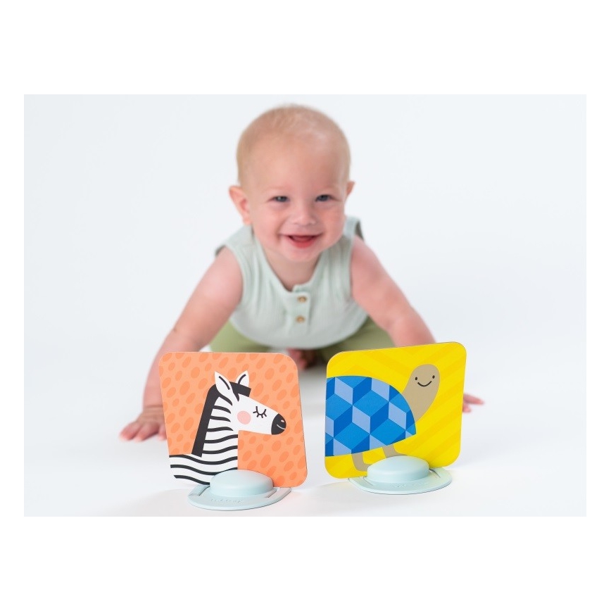 Taf Toys - Карточки для игры на животике 18 шт.