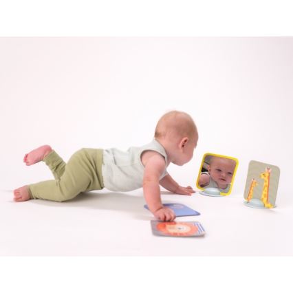 Taf Toys - Карточки для игры на животике 18 шт.