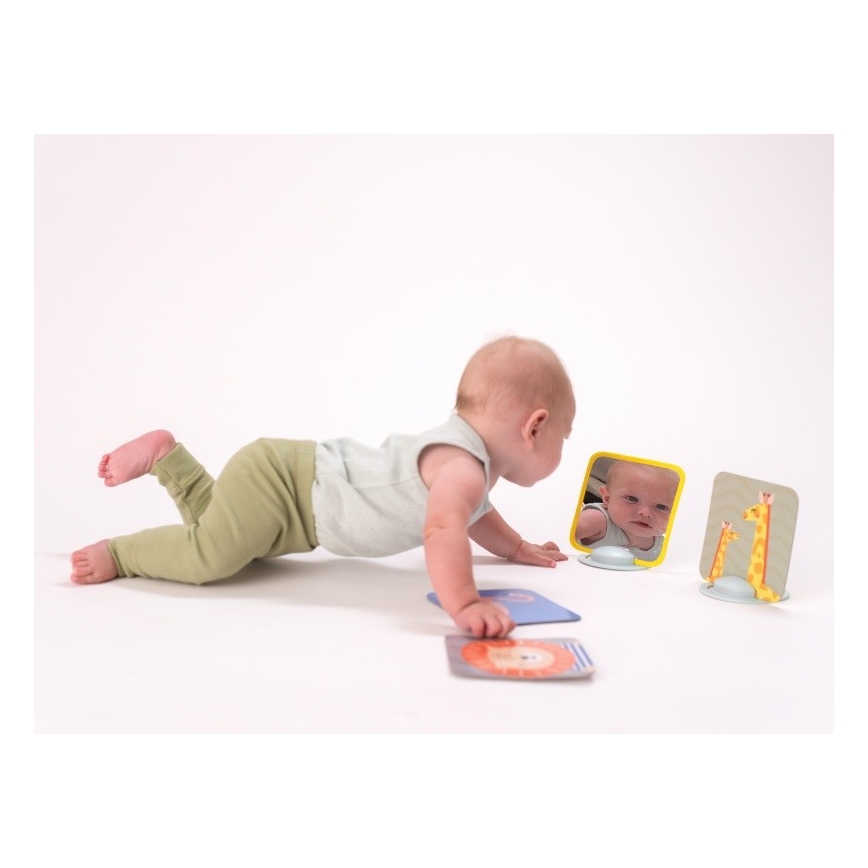 Taf Toys - Карточки для игры на животике 18 шт.