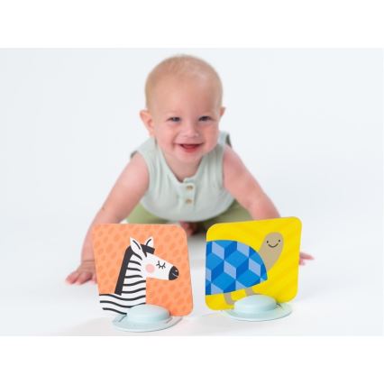 Taf Toys - Карточки для игры на животике 18 шт.
