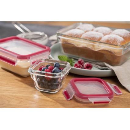 Tefal - Харчовий контейнер 0,45 л MSEAL GLASS червоний/скло