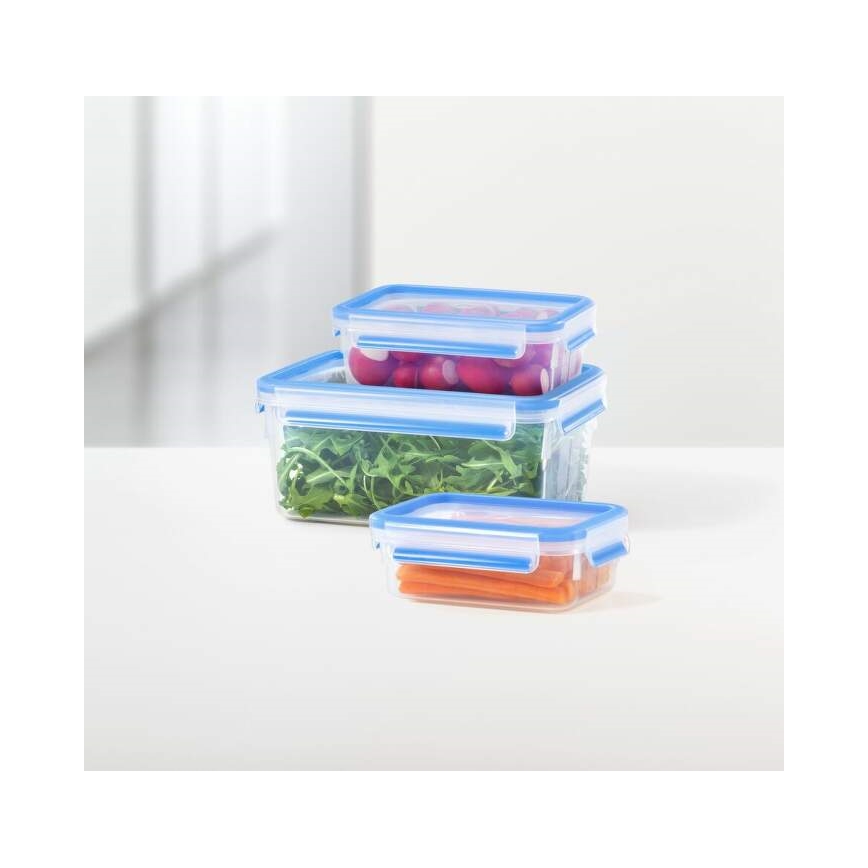 Tefal - Набір харчових контейнерів 5 шт. MASTER SEAL FRESH синій