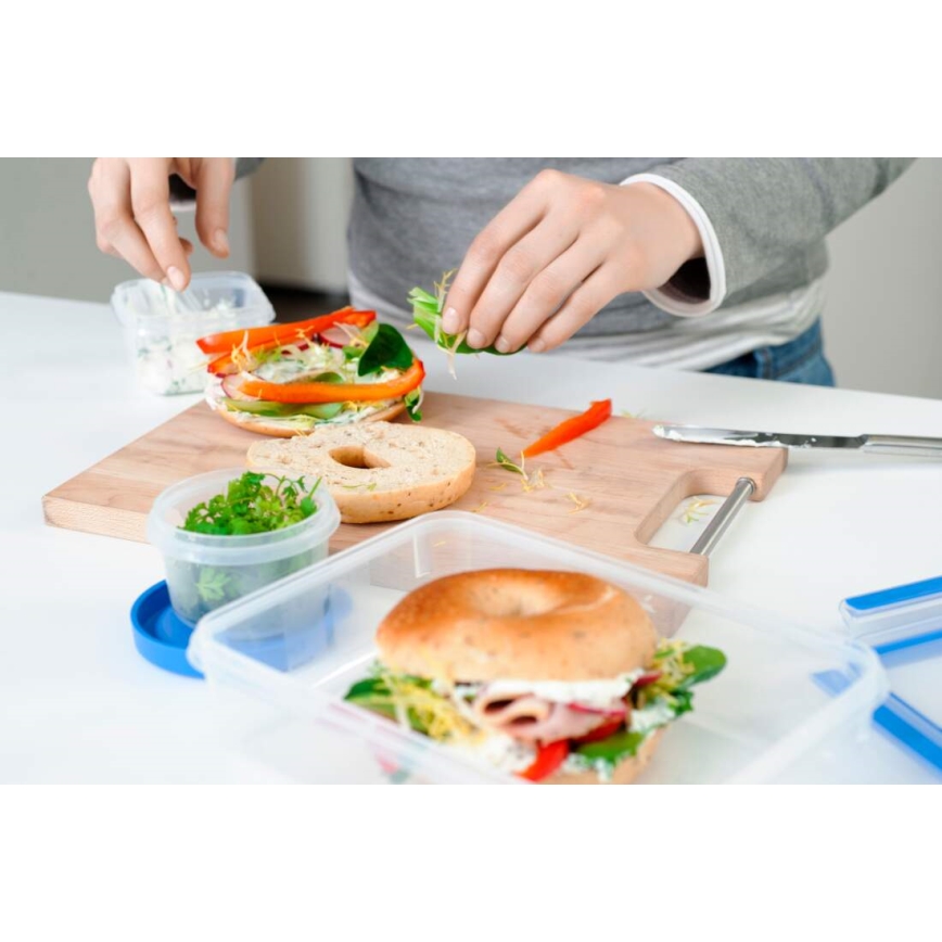 Tefal - Набір харчових контейнерів 5 шт. MASTER SEAL FRESH синій