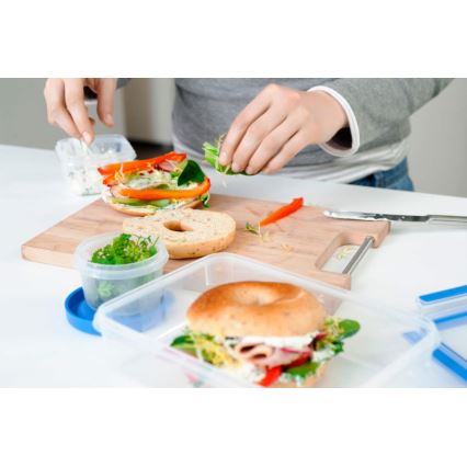 Tefal - Набір харчових контейнерів 5 шт. MASTER SEAL FRESH синій
