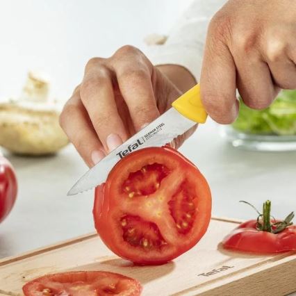Tefal - Набір з 3-х ножів з нержавіючої сталі COLORFOOD