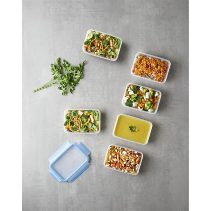 Tefal - набір із 6 контейнерів для продуктів 0,8 л MASTER SEAL FRESH синій