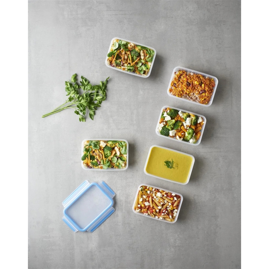 Tefal - набір із 6 контейнерів для продуктів 0,8 л MASTER SEAL FRESH синій