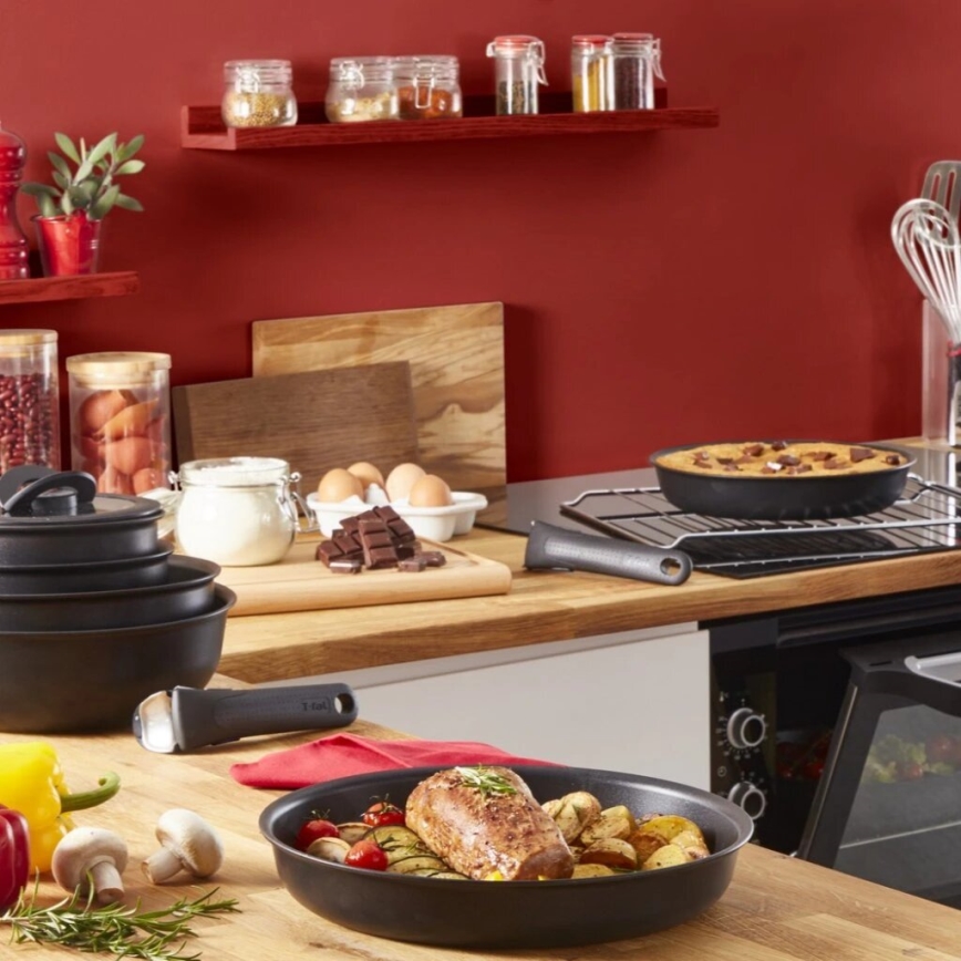Tefal - Набір столового посуду 13 шт. INGENIO Unlimited