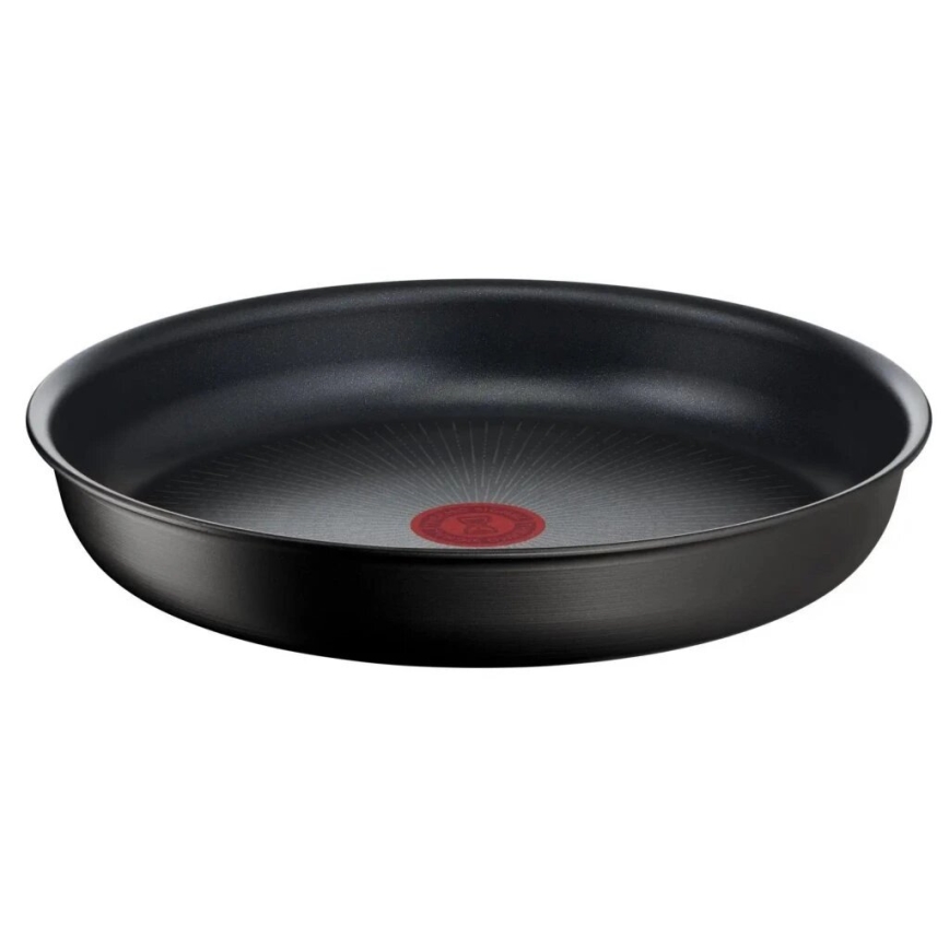 Tefal - Набір столового посуду 13 шт. INGENIO Unlimited