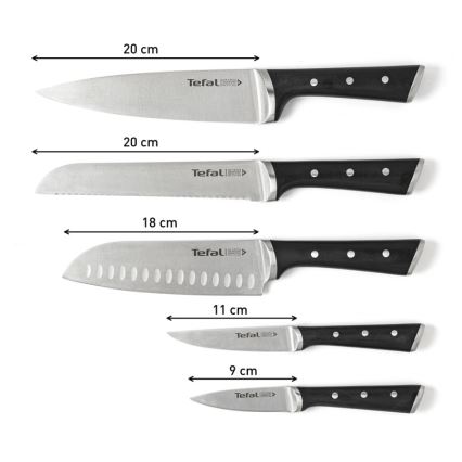 Tefal - Набір кухонних ножів з підставкою ICE FORCE 6 шт.