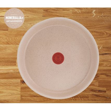 Tefal - Набор из 3 сковород INGENIO DELIGHT