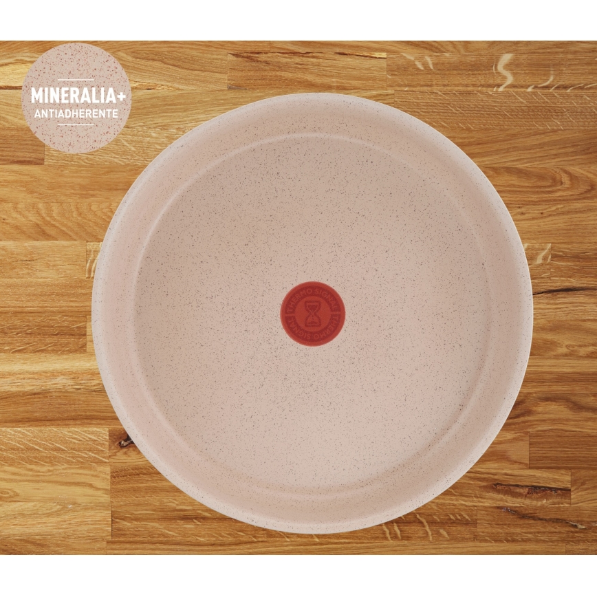 Tefal - Набор из 3 сковород INGENIO DELIGHT