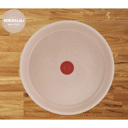 Tefal - Набор посуды из 6 предметов INGENIO DELIGHT