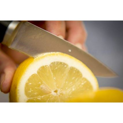 Tefal - Нержавеющий вырезной нож ICE FORCE 9 см, блестящий хром/черный