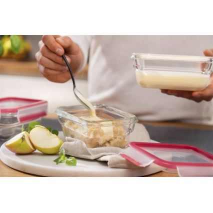 Tefal - Пищевой контейнер 0,45 л MSEAL GLASS красный/стекло