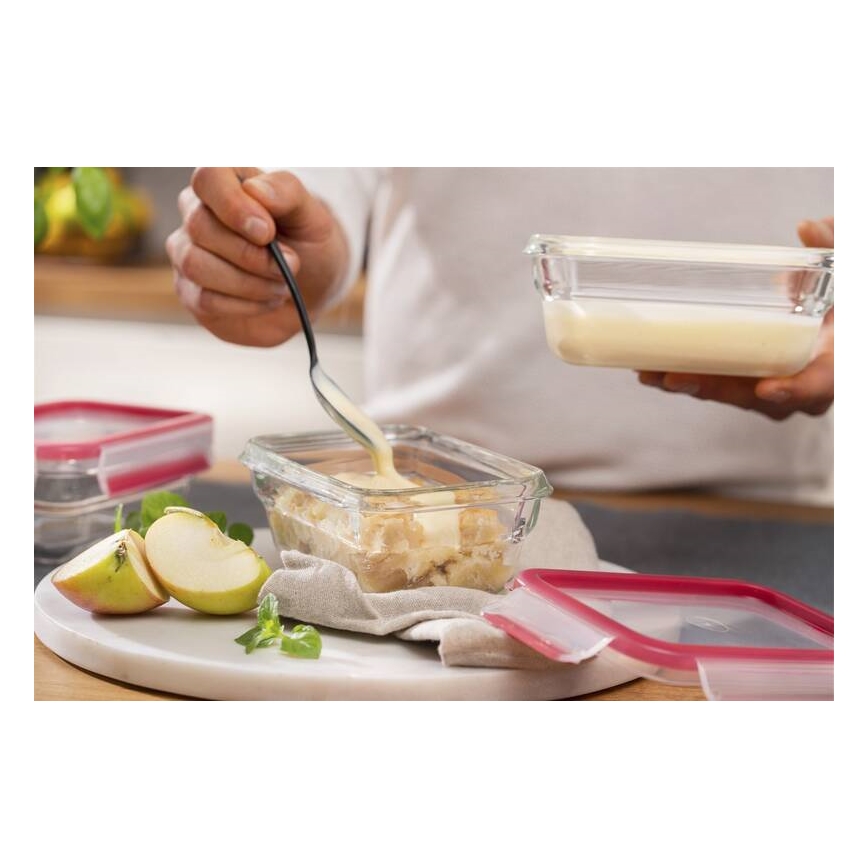 Tefal - Пищевой контейнер 0,45 л MSEAL GLASS красный/стекло