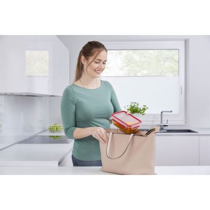 Tefal - Пищевой контейнер 0,85 л MSEAL GLASS красный/стекло