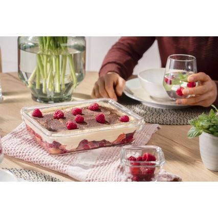 Tefal - Пищевой контейнер 3 л MSEAL GLASS красный/стекло