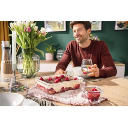 Tefal - Пищевой контейнер 3 л MSEAL GLASS красный/стекло