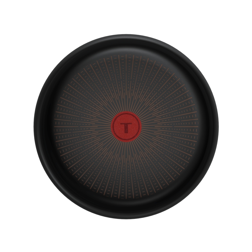 Tefal - Сковорода INGENIO Excellence Fusion 24 см