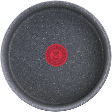 Tefal - Каструля-ківш INGENIO NATURAL FORCE 20 см