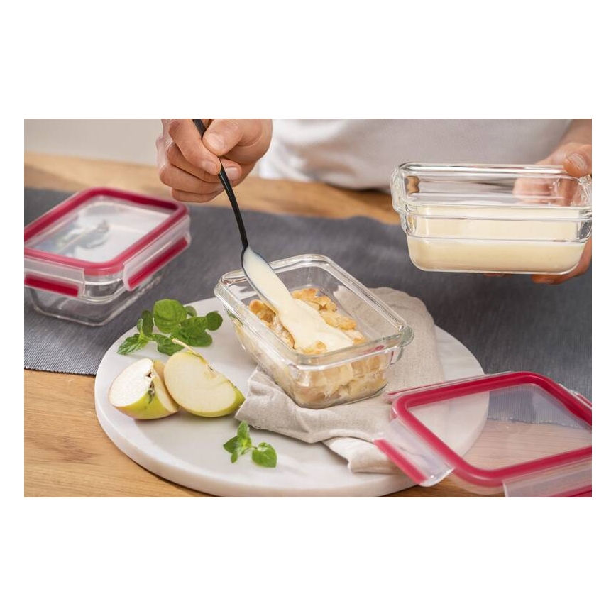 Tefal - Контейнер для продуктів 0,45 л MSEAL GLASS червоний/скло