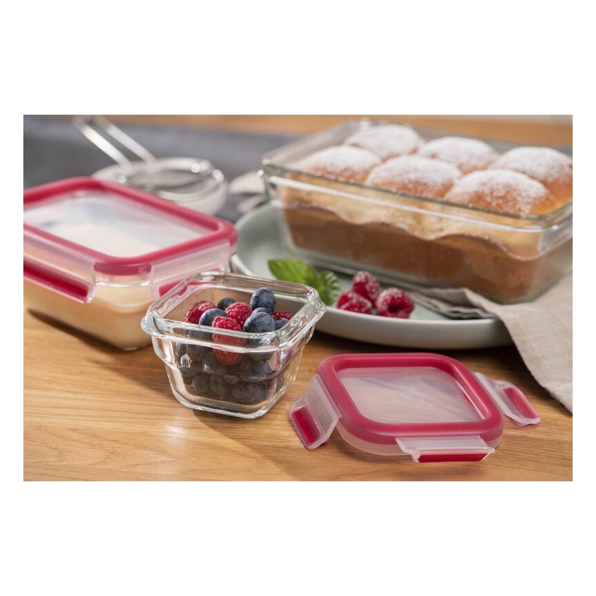 Tefal - Контейнер для продуктів 0,45 л MSEAL GLASS червоний/скло