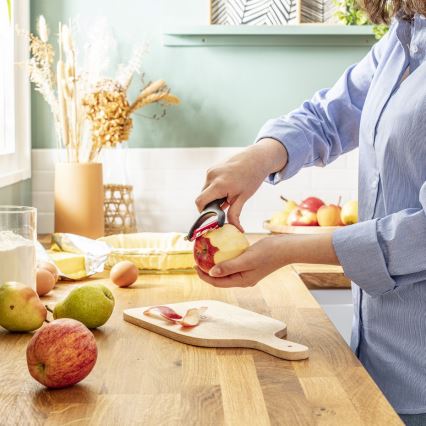 Tefal - Кухонний скребок INGENIO нержавіюча сталь/чорний