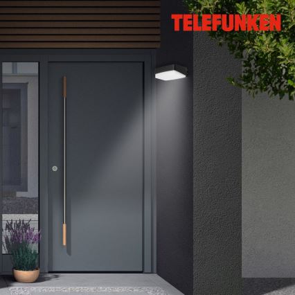 Telefunken 312205TF - Уличный светодиодный настенный светильник LED/14W/230V IP44