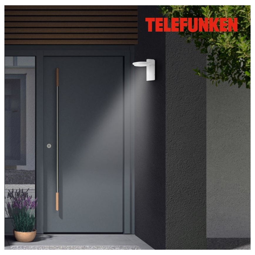 Telefunken 312406TF - Вуличний світлодіодний настінний світильник LED/10W/230V IP44
