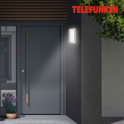 Telefunken 313604TF - Вуличний світлодіодний настінний світильник LED/16W/230V IP44 срібний