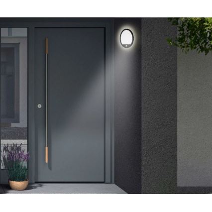 Telefunken 313705TF - Вуличний настінний LED світильник з датчиком LED/15W/230V IP44