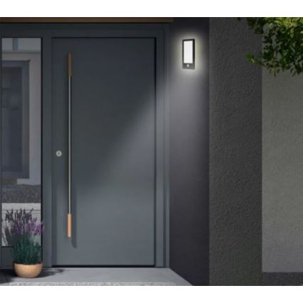 Telefunken 313905TF - Уличный светодиодный настенный светильник с датчиком LED/16W/230V IP44