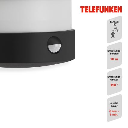 Telefunken 315505TF - LED Вуличний настінний світильник з датчиком LED/12W/230V IP44 чорний