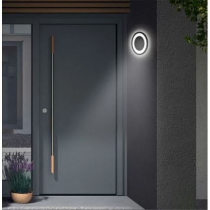 Telefunken 315805TF - Вуличний світлодіодний настінний світильник LED/15W/230V IP44