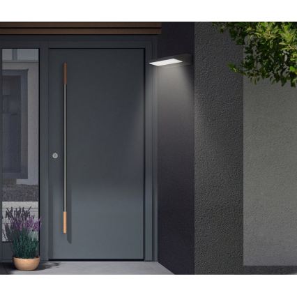 Telefunken - Уличный настенный светильник LED, 10 Вт, 230 В, IP44, чёрный