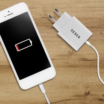 TESLA Electronics - Блок быстрой зарядки Power Delivery 20W белый