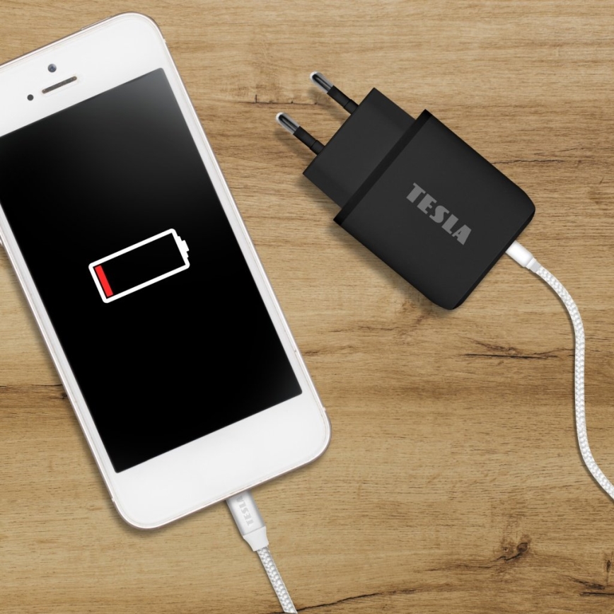 TESLA Electronics - Блок быстрой зарядки Power Delivery 25W черный