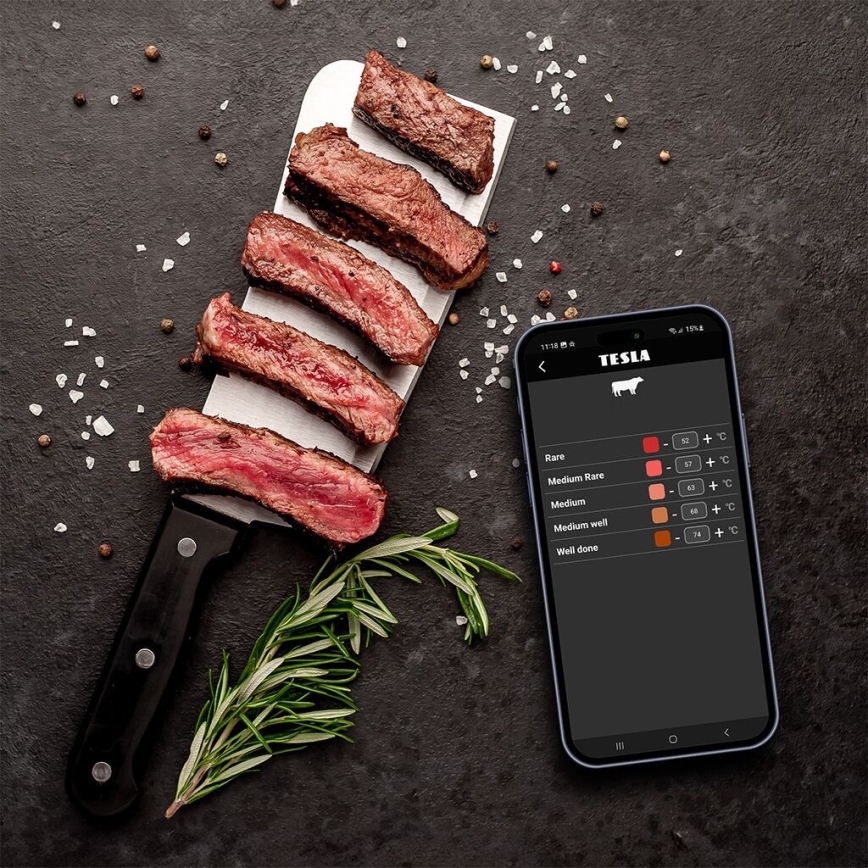 TESLA Electronics Cook - Цифровой термометр для мяса с зондом 0-400 °C 2xAA IP65