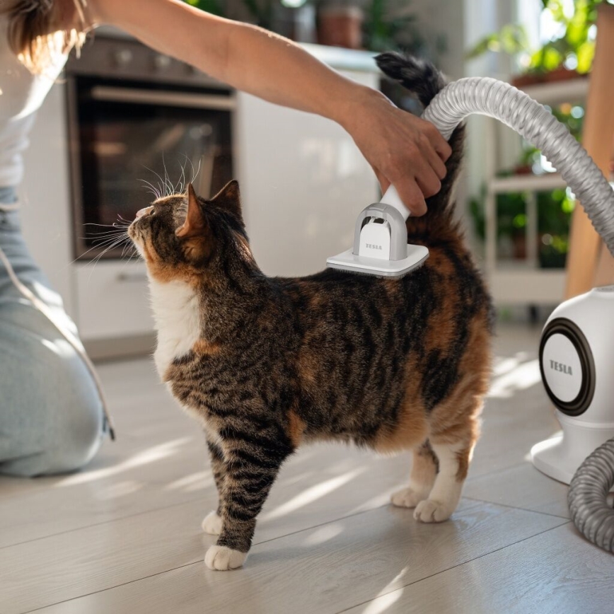 TESLA Electronics PetCare - Набор для ухода за домашними животными 300W/230V
