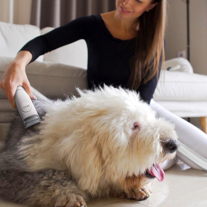 TESLA Electronics PetCare - Набор для ухода за домашними животными 300W/230V